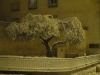 Montpellier sous la neige : L'olivier de la vielle porte